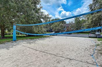 Volleyball court